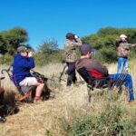 WhatsApp Image 2024-06-08 at 18.17.32_a4b52a45