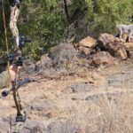 WhatsApp Image 2024-09-01 at 12.13.51_12b68c52